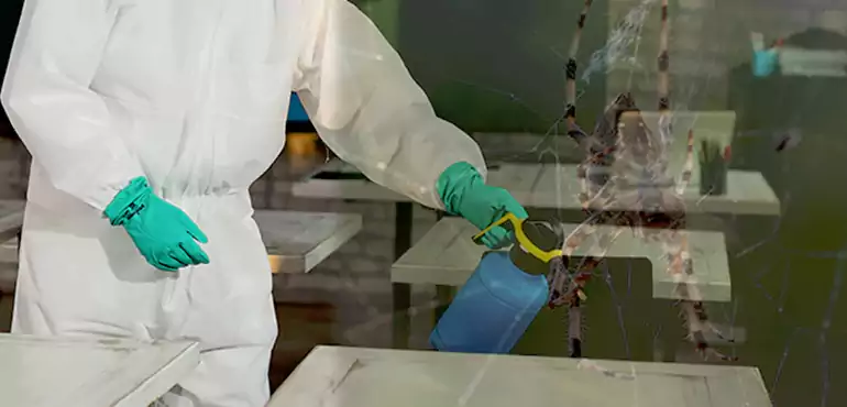 Why Buyers Still Want Homes With Pest Infestations in Akron, OH?