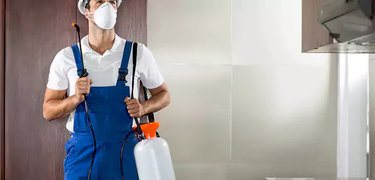 Why Akron Homeowners Choose Us When Pests Make Selling Difficult